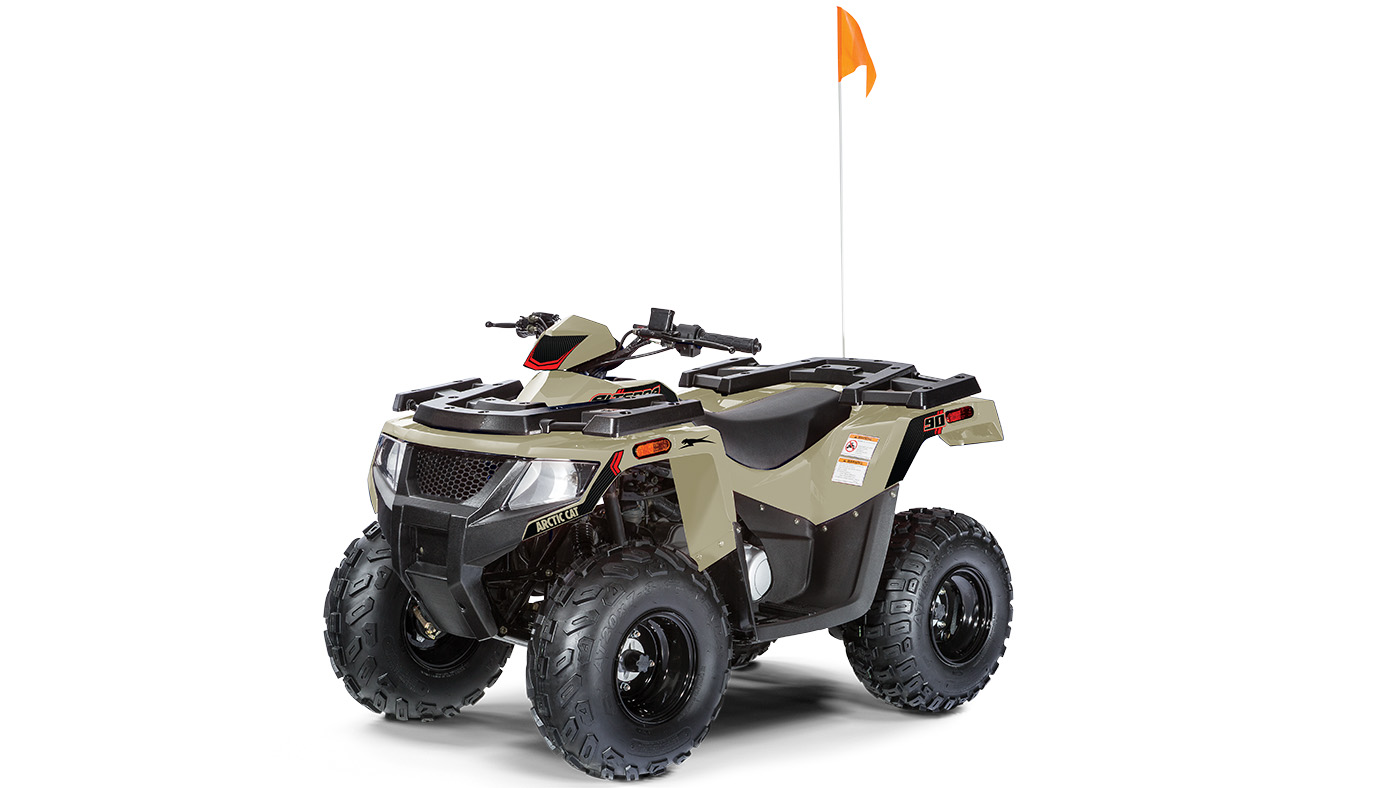 Arctic cat sale atv near me